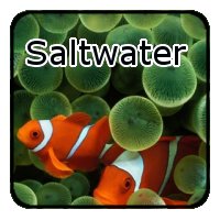 Marine Fish Tank Supplies